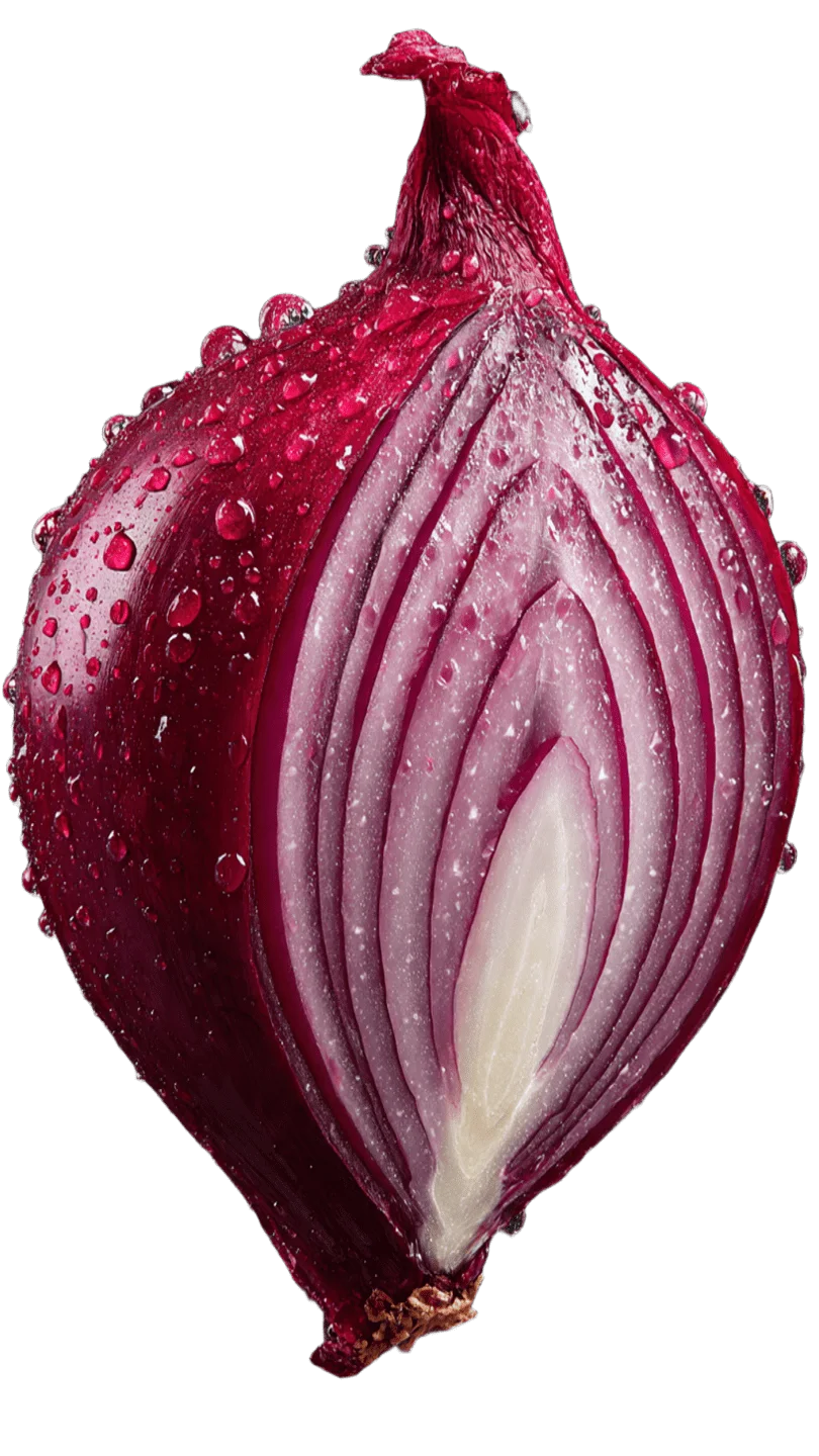 Cross-section of a fresh red onion showing its layers