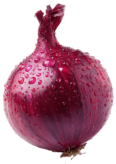 Fresh red onion with water droplets
