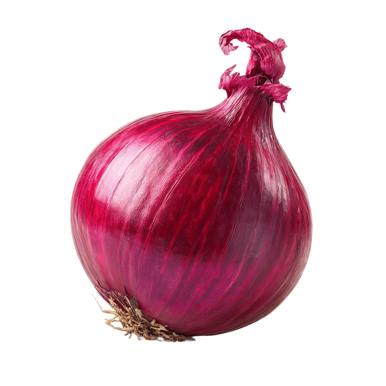Whole fresh red onion